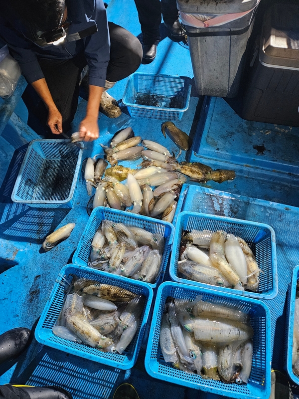 다원피싱의 조황일지 이미지 - 12