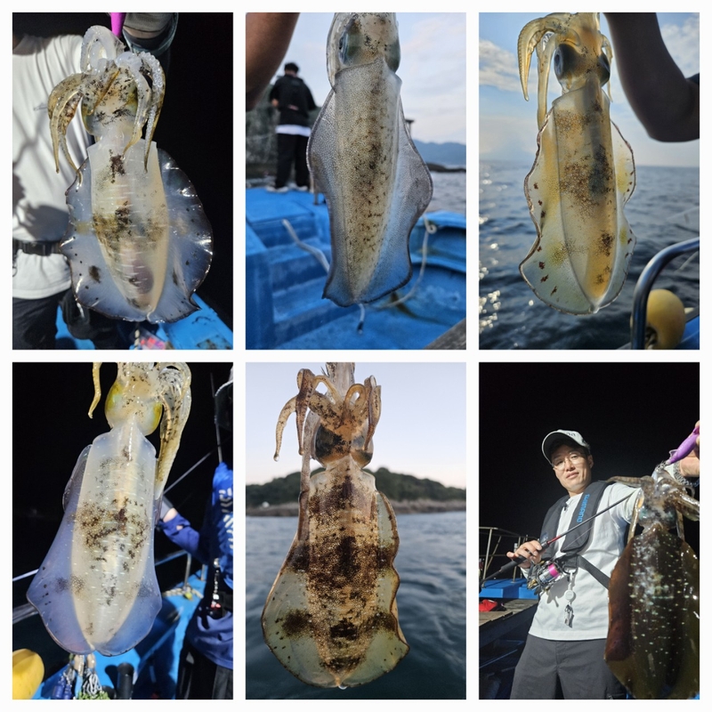 다원피싱의 조황일지 이미지 - 2