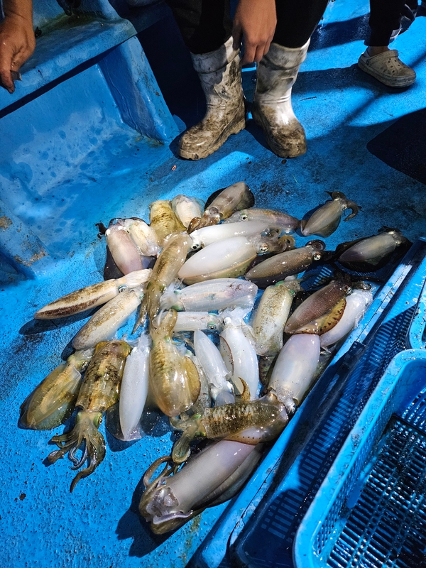 다원피싱의 조황일지 이미지 - 11