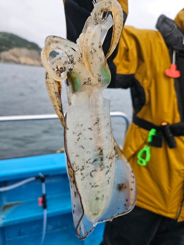 다원피싱의 조황일지 이미지 - 3