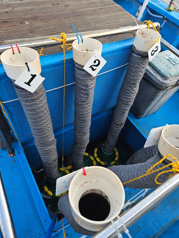 다원피싱의 조황일지 이미지 - 3