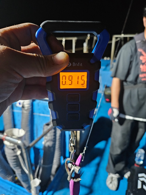 다원피싱의 조황일지 이미지 - 6