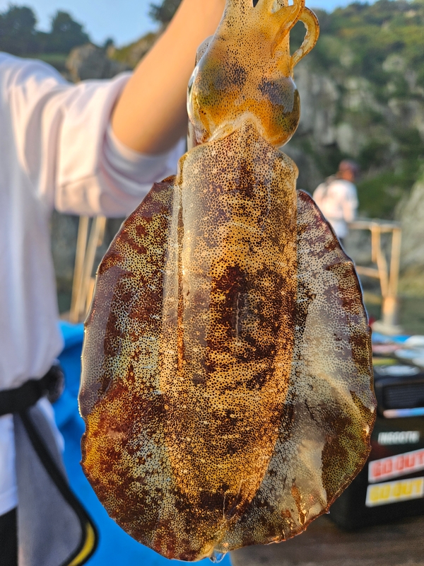 다원피싱의 조황일지 이미지 - 2