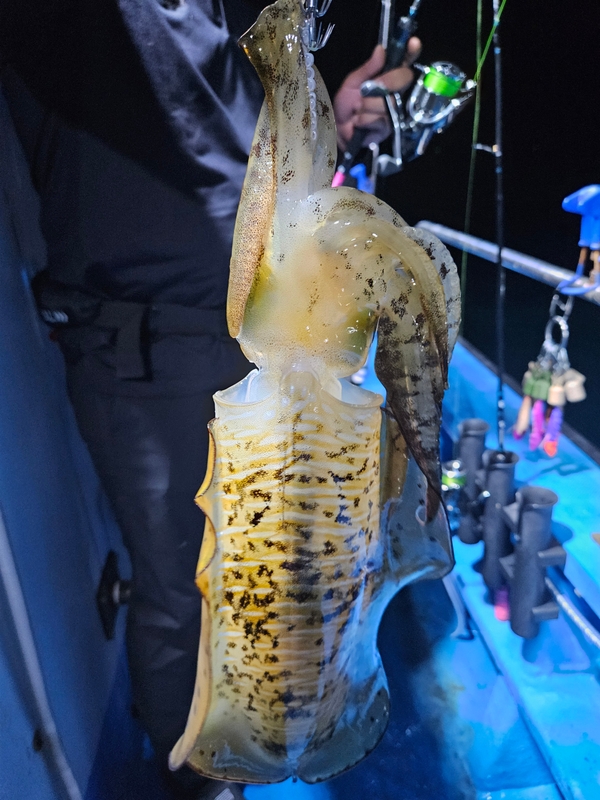 다원피싱의 조황일지 이미지 - 2