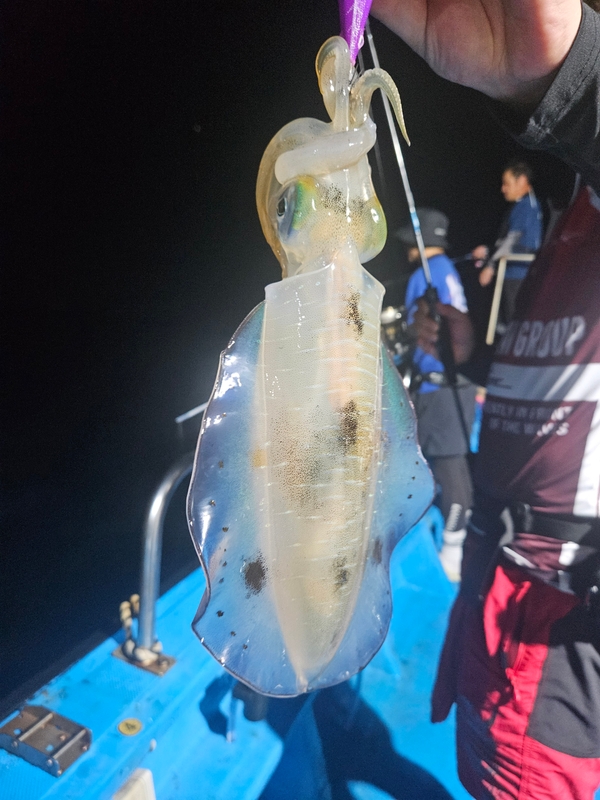 다원피싱의 조황일지 이미지 - 7