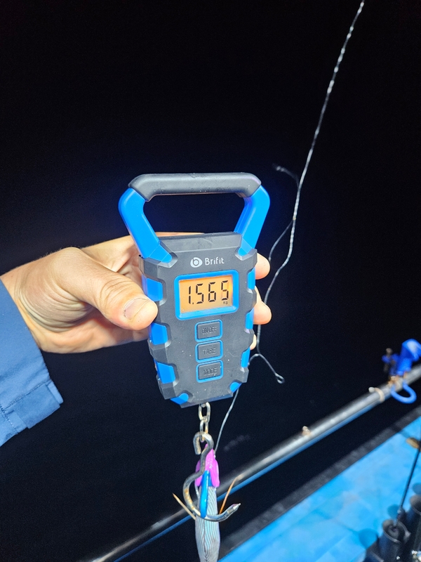 다원피싱의 조황일지 이미지 - 8