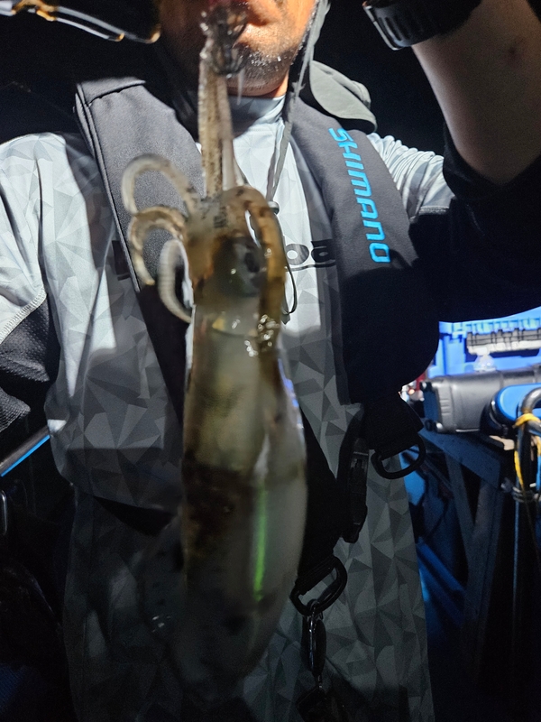 다원피싱의 조황일지 이미지 - 11