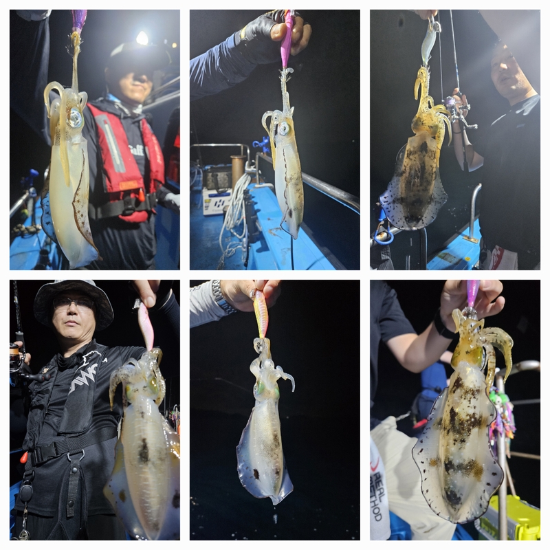 다원피싱의 조황일지 이미지 - 1