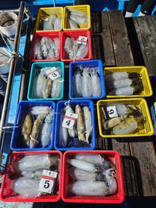 다원피싱)무늬팁런 무시급도 보이기시작합니다 토요일 전투팁런 자리 넉넉  선상낚시로 잡은 물고기 조황