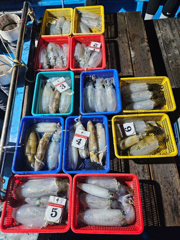 다원피싱의 조황일지 이미지 - 0