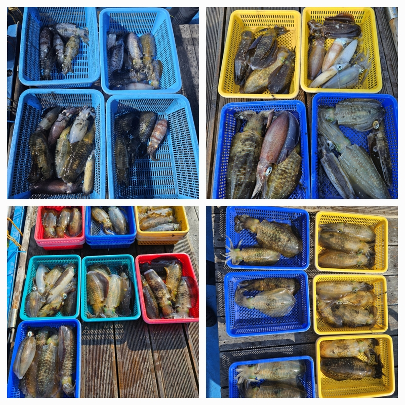 다원피싱의 조황일지 이미지 - 2