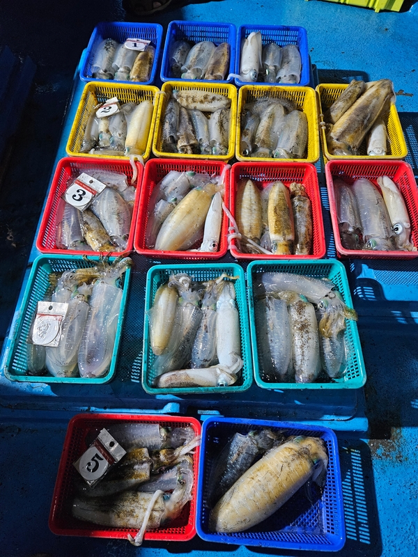 다원피싱의 조황일지 이미지 - 2