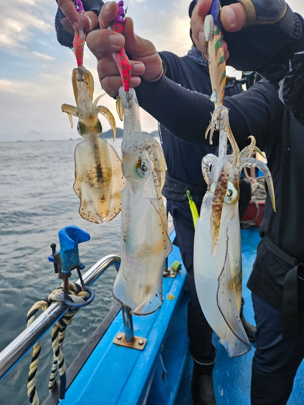 다원피싱의 조황일지 이미지 - 0