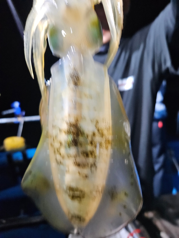 다원피싱의 조황일지 이미지 - 7