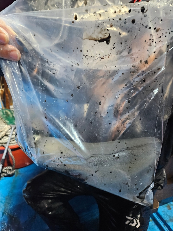 다원피싱의 조황일지 이미지 - 4