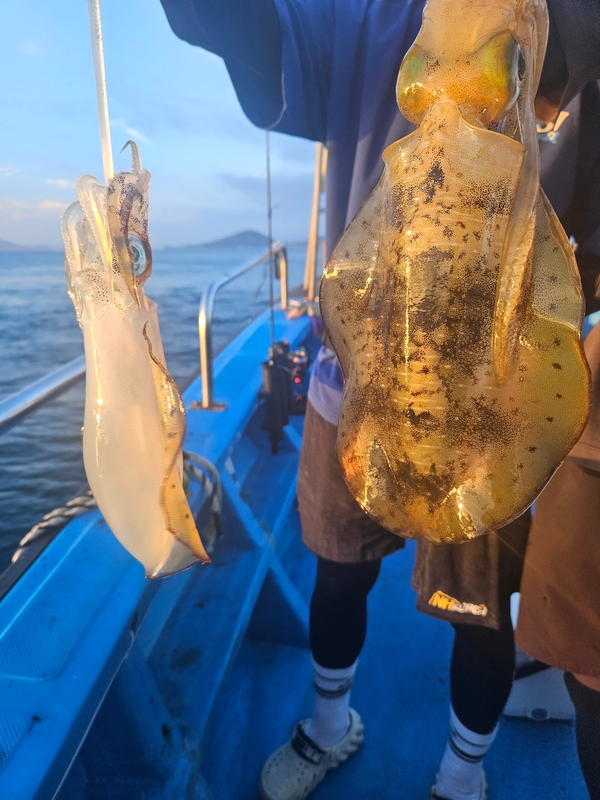 다원피싱의 조황일지 이미지 - 3