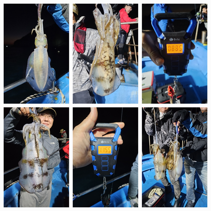 다원피싱의 조황일지 이미지 - 1