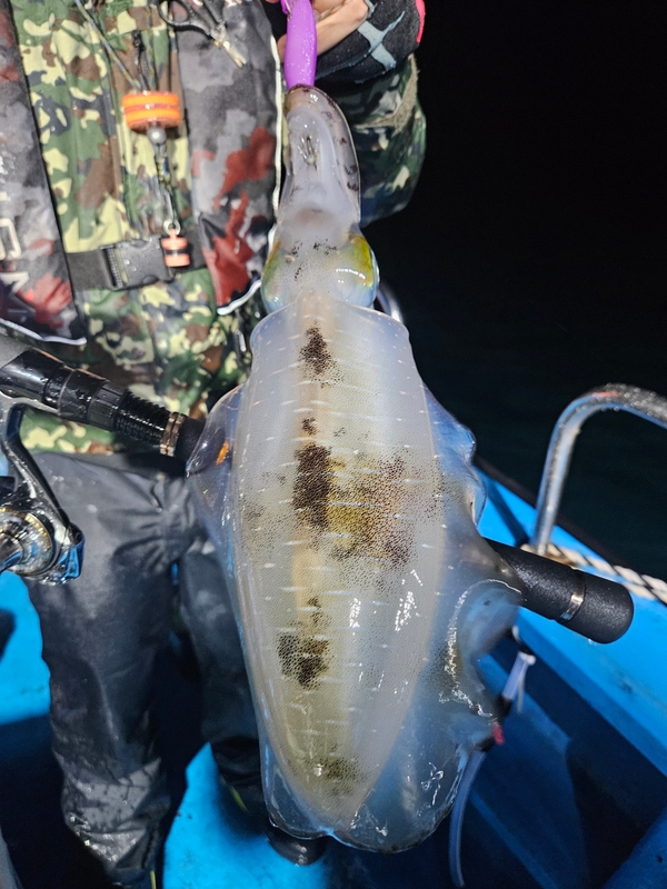 다원피싱의 조황일지 이미지 - 5