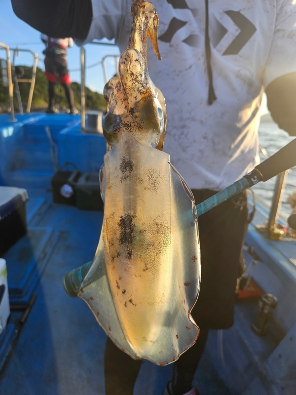 다원피싱의 조황일지 이미지 - 1