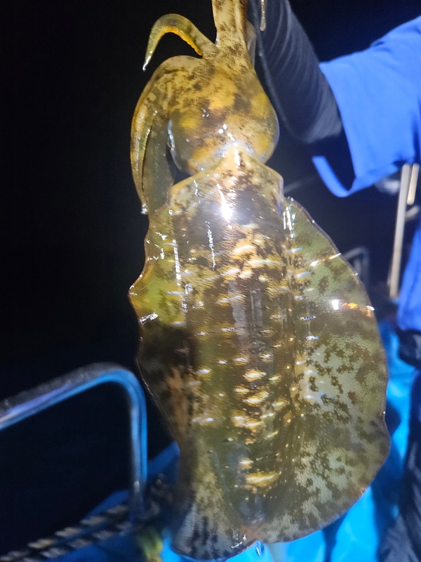 다원피싱의 조황일지 이미지 - 5