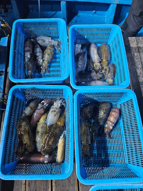 다원피싱의 조황일지 이미지 - 12