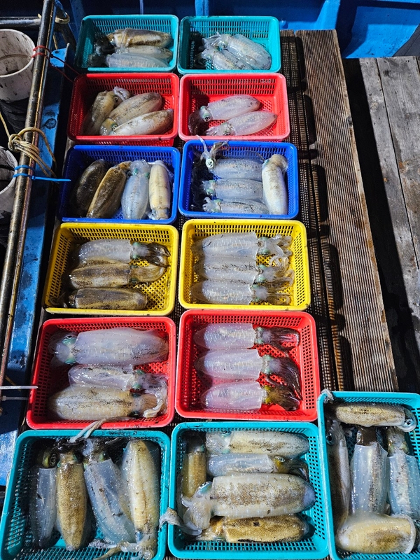 다원피싱의 조황일지 이미지 - 6