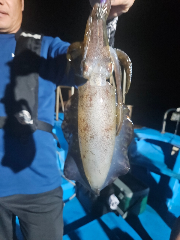 다원피싱의 조황일지 이미지 - 6