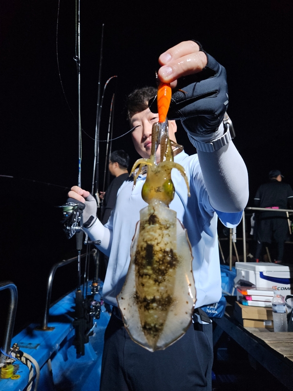 다원피싱의 조황일지 이미지 - 1