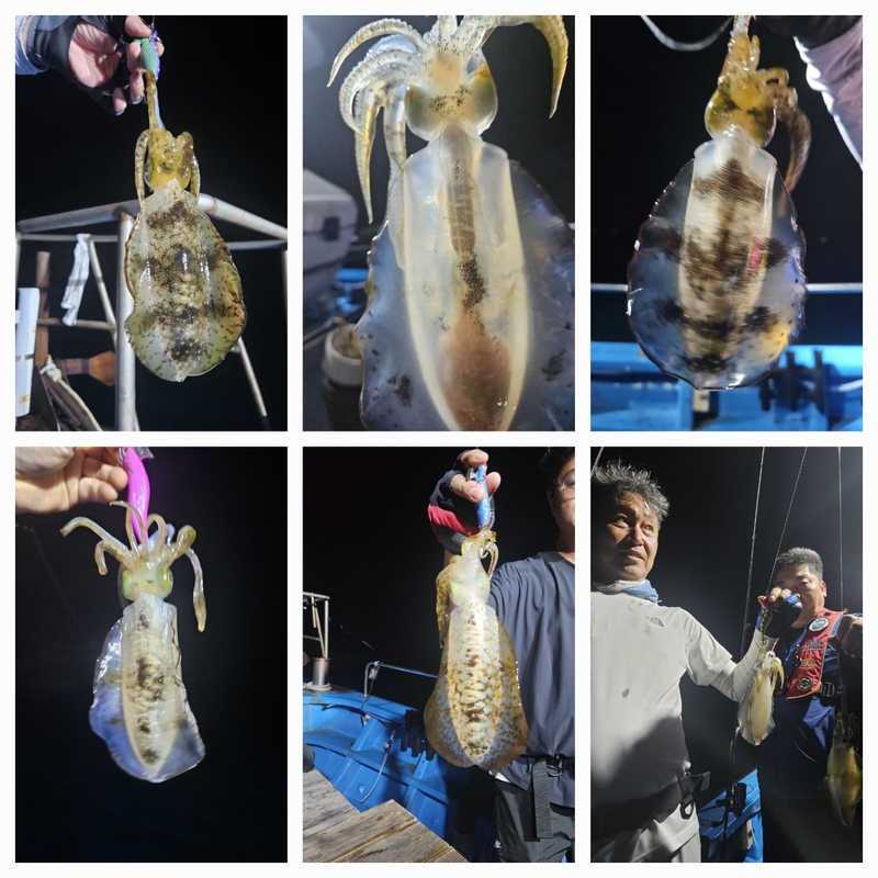 다원피싱의 조황일지 이미지 - 1