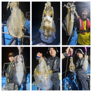 다원피싱)무늬팁런 마릿수 싸이즈 모두 좋습니다 가을밤엔 역시 팁런!! 선상낚시로 잡은 물고기 조황