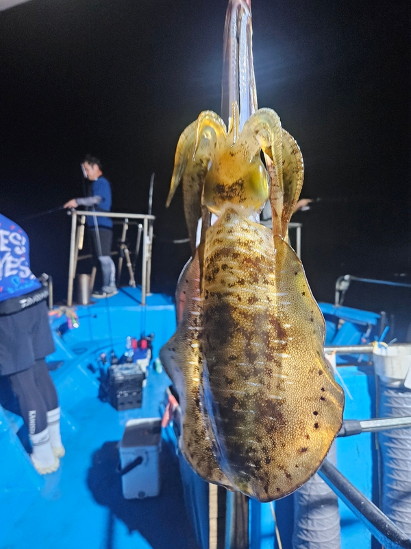 다원피싱의 조황일지 이미지 - 8