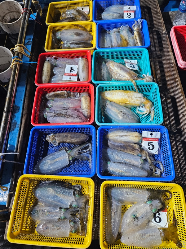 다원피싱의 조황일지 이미지 - 3