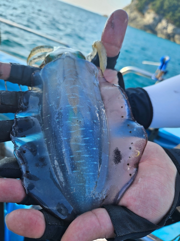 다원피싱의 조황일지 이미지 - 1