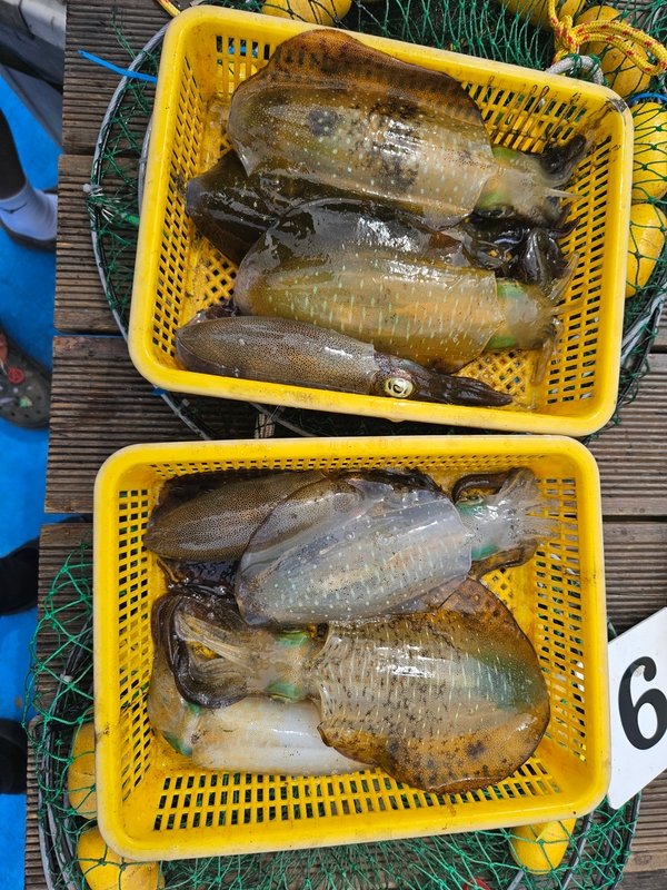 다원피싱의 조황일지 이미지 - 2