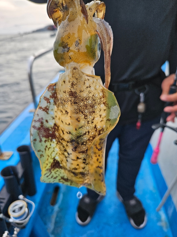 다원피싱의 조황일지 이미지 - 2