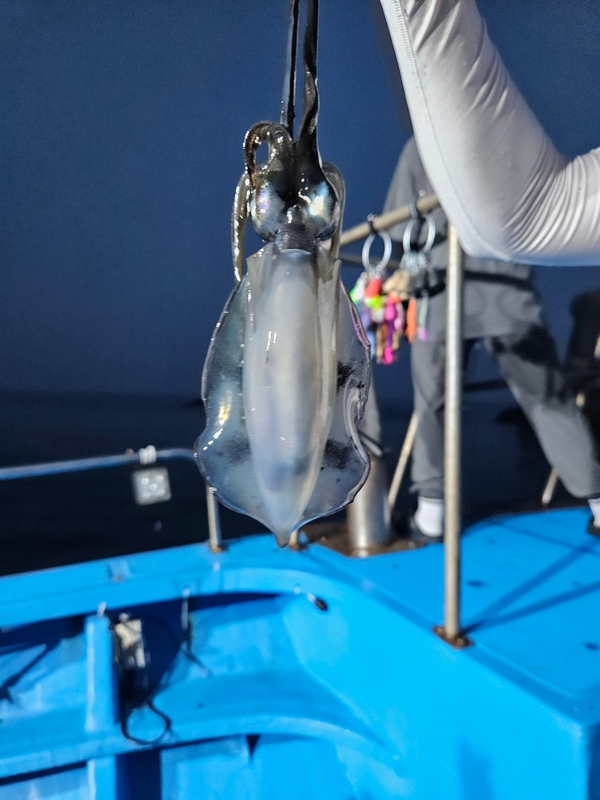 다원피싱의 조황일지 이미지 - 3