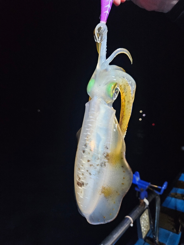 다원피싱의 조황일지 이미지 - 8