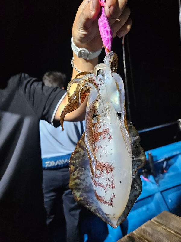 다원피싱의 조황일지 이미지 - 6