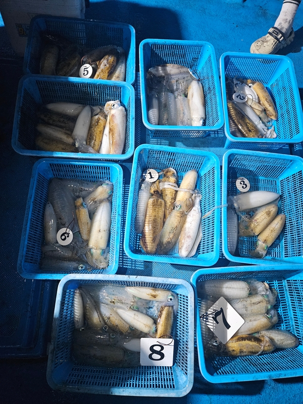 다원피싱의 조황일지 이미지 - 0