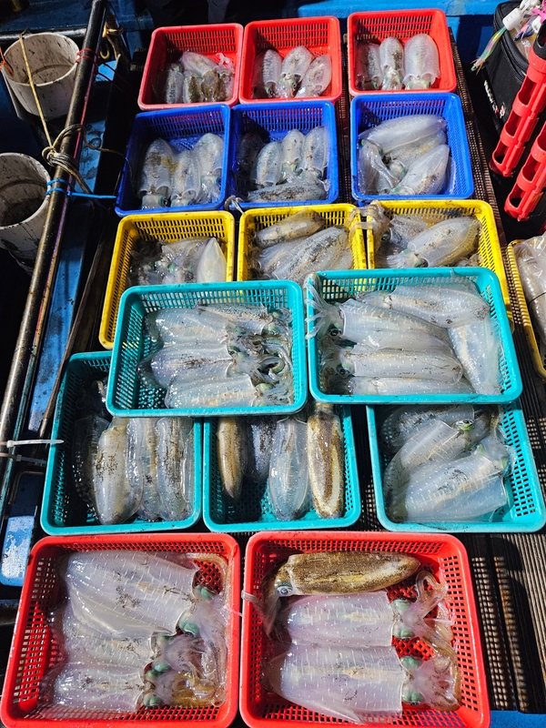 다원피싱의 조황일지 이미지 - 0