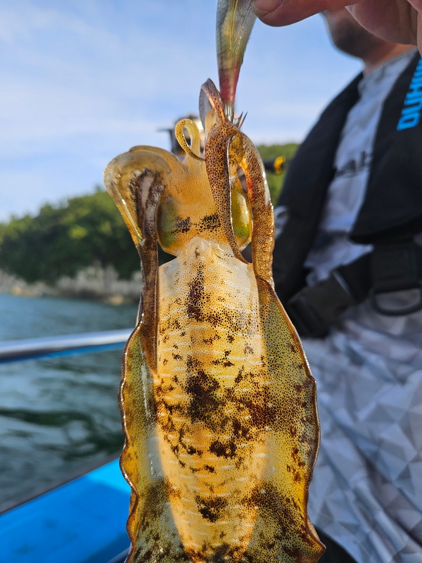 다원피싱의 조황일지 이미지 - 1