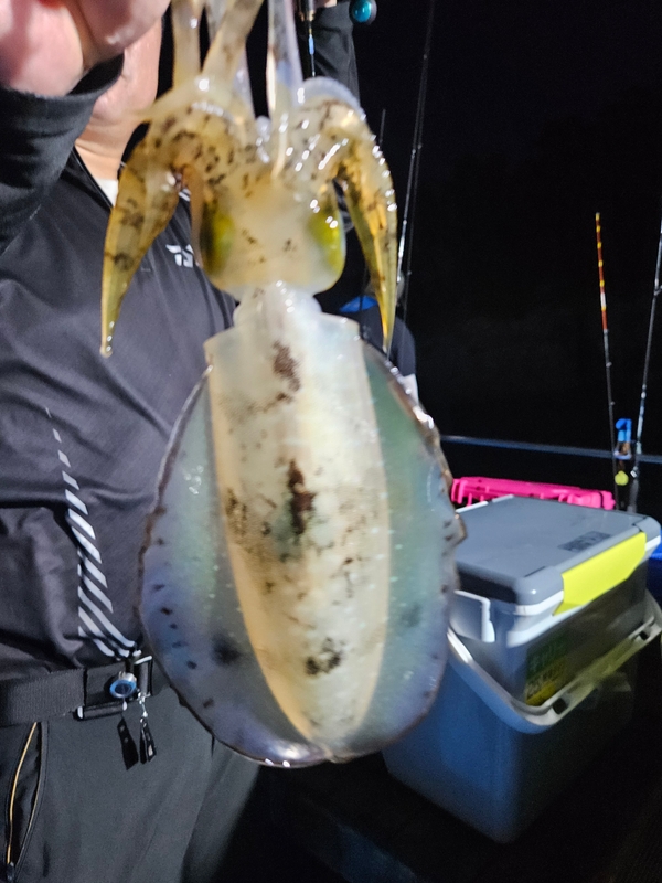 다원피싱의 조황일지 이미지 - 5