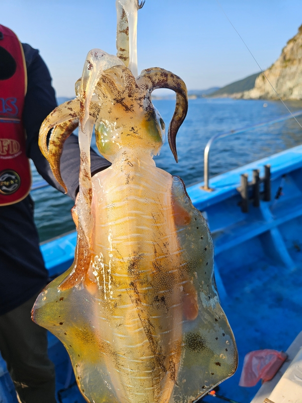 다원피싱의 조황일지 이미지 - 1