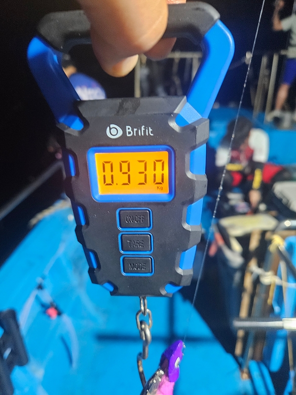 다원피싱의 조황일지 이미지 - 9