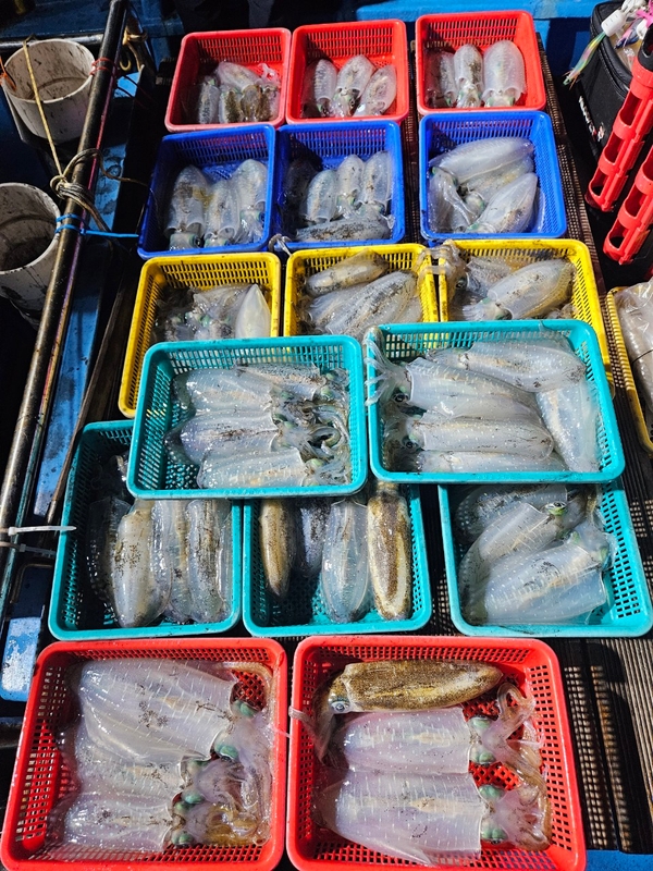 다원피싱의 조황일지 이미지 - 7