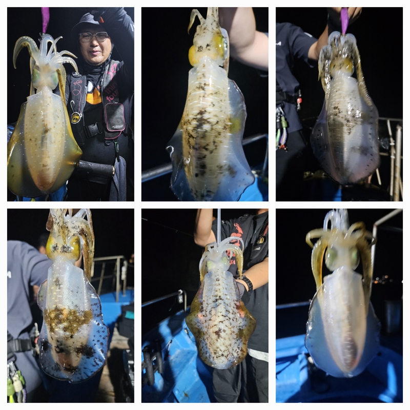 다원피싱의 조황일지 이미지 - 0