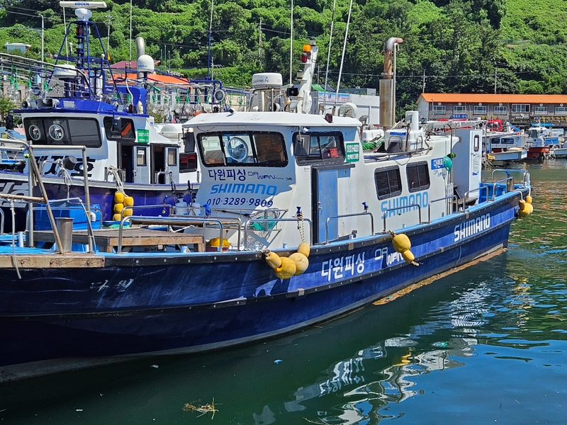 해당 선사를 대표하는 이미지