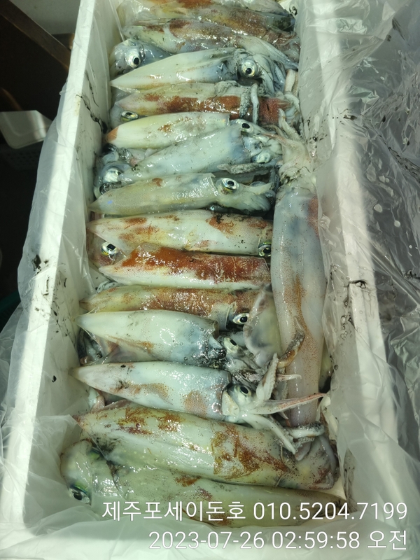 해당 선사를 대표하는 이미지