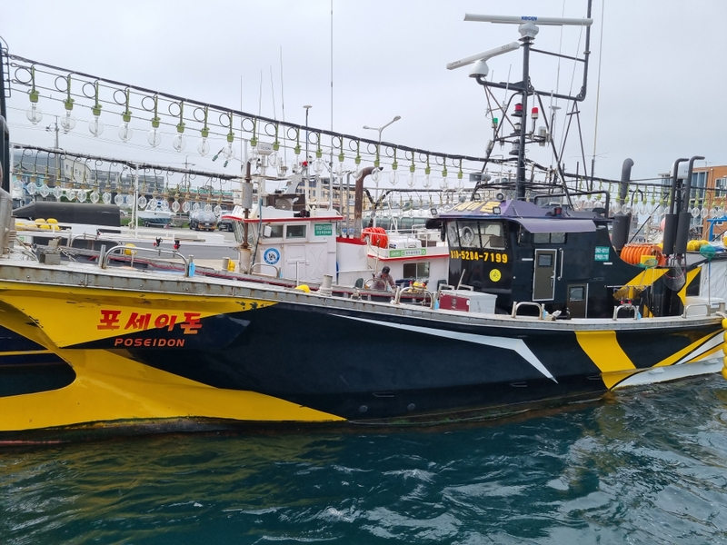 해당 선사를 대표하는 이미지