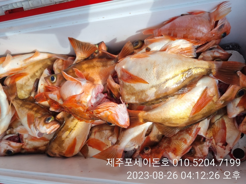 해당 선사를 대표하는 이미지